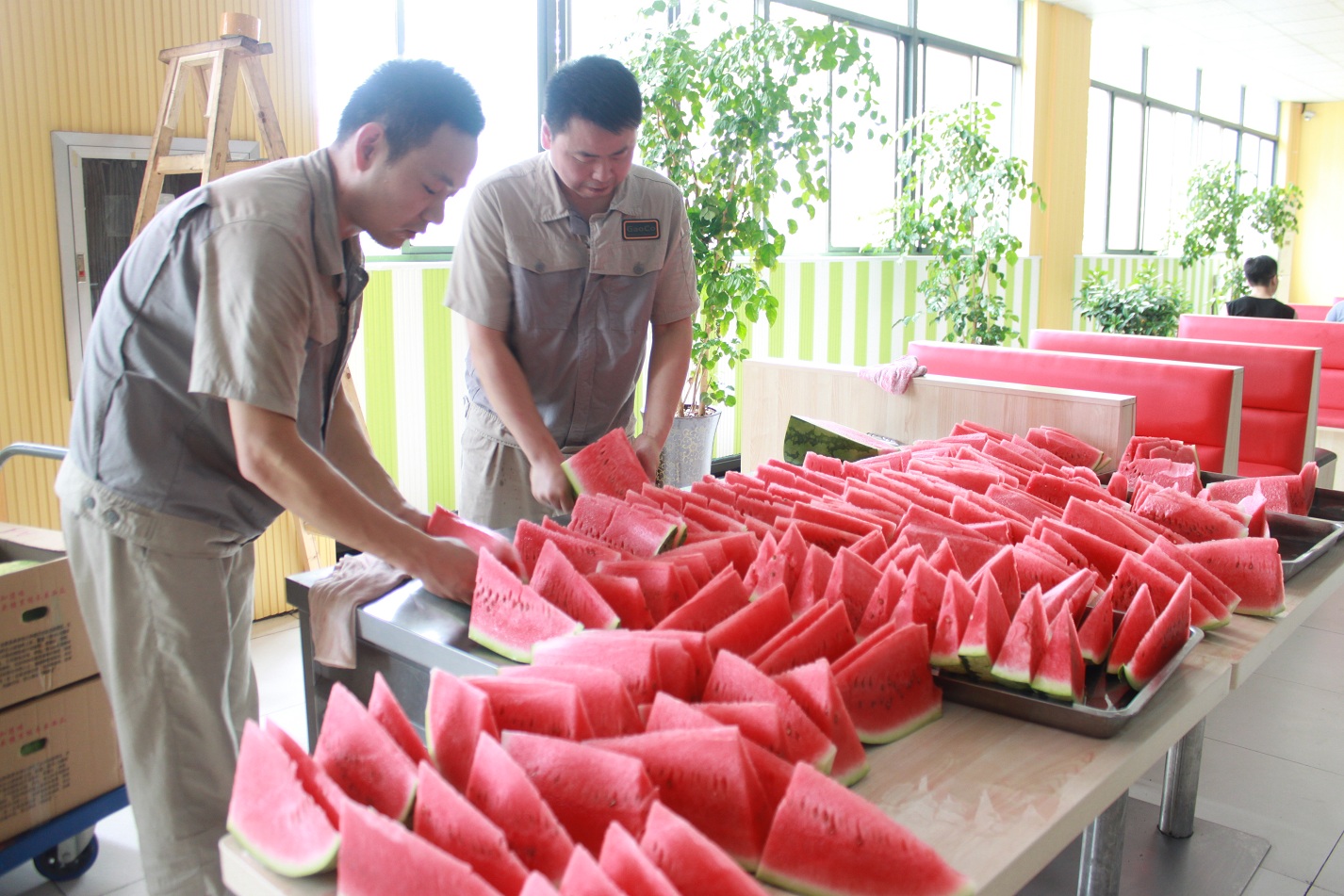 首页|7790必发集团中国官方网站